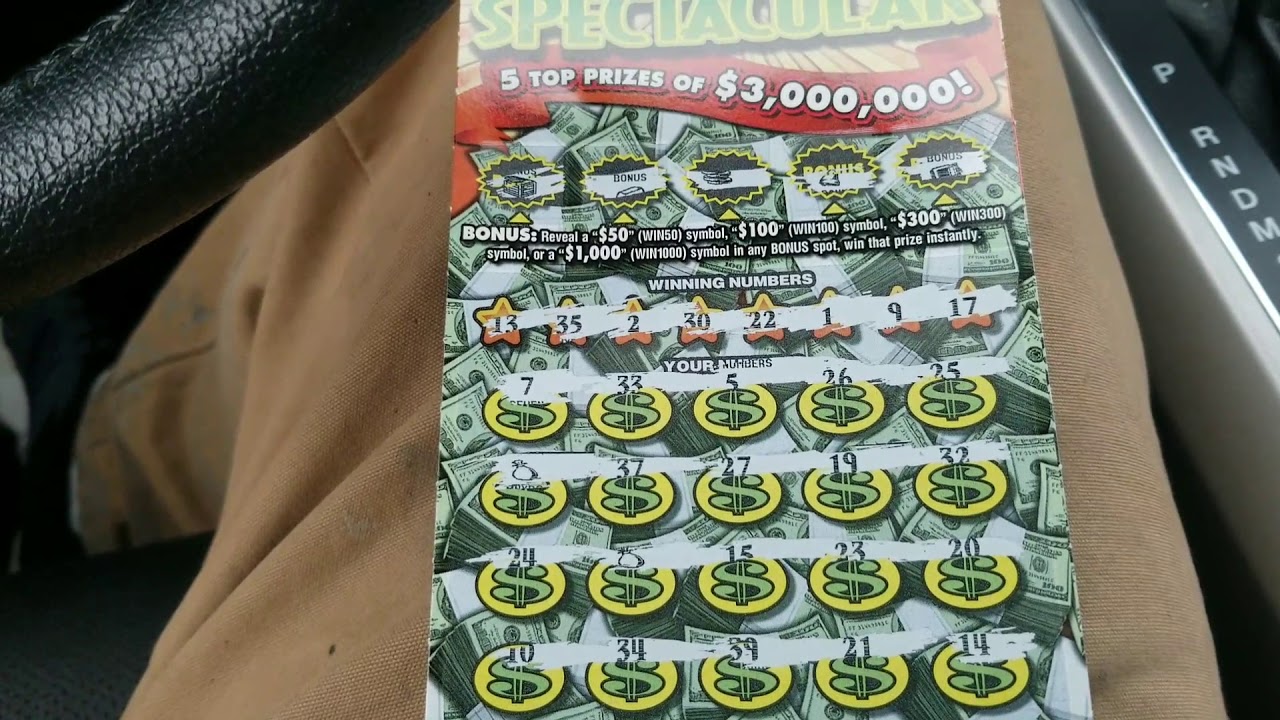 30$ Spectacular 2 money bags