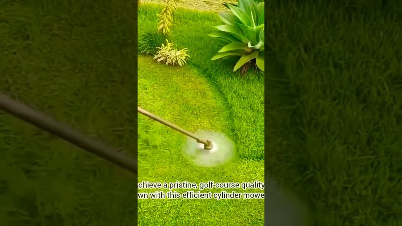 The secret of perfectly manicured, professional-looking lawn. #shortsfeed