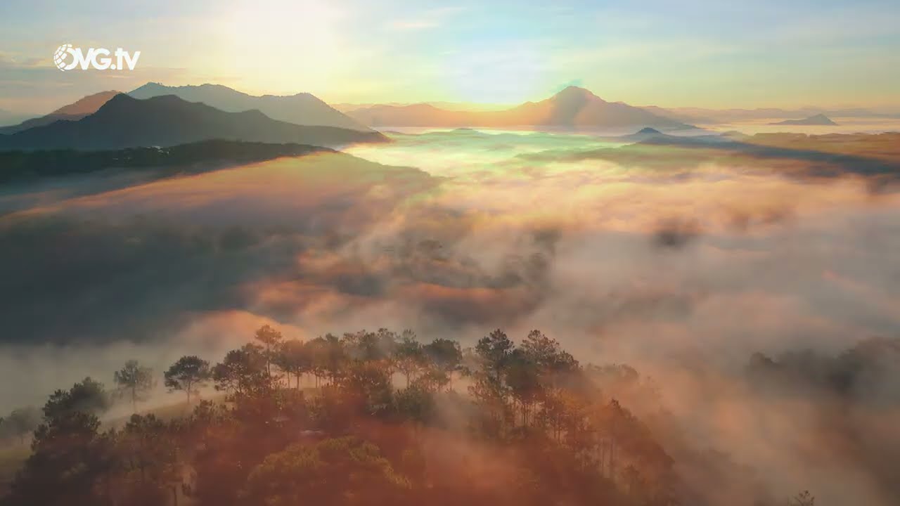 Bible Zirna ( Isaia 53 : 7 - 12 ) - Rev Dr Lalchungnunga ( Zarkawt ) - Adviser OVGtv