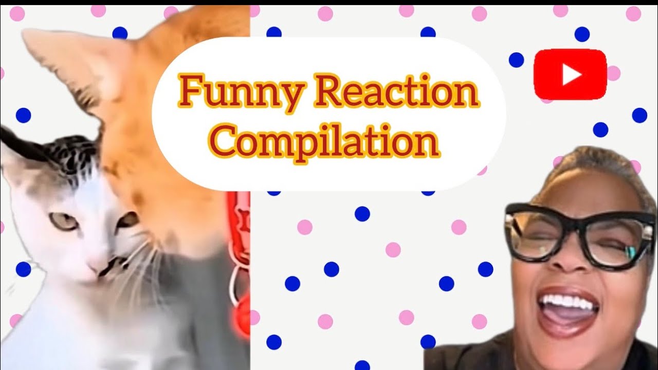 Get ready to laugh until your cheeks hurt 😂 Try not to laugh!