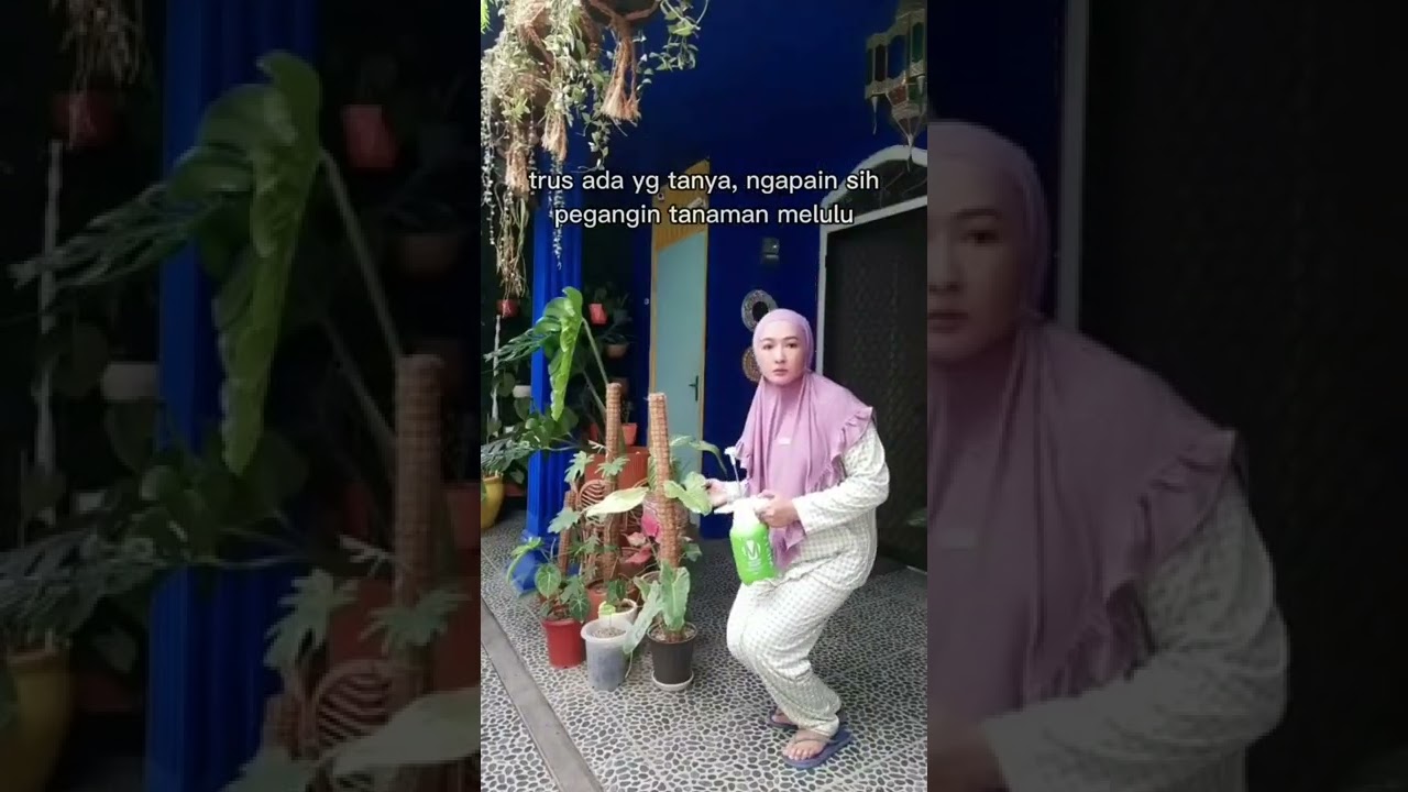 plants addict🤗