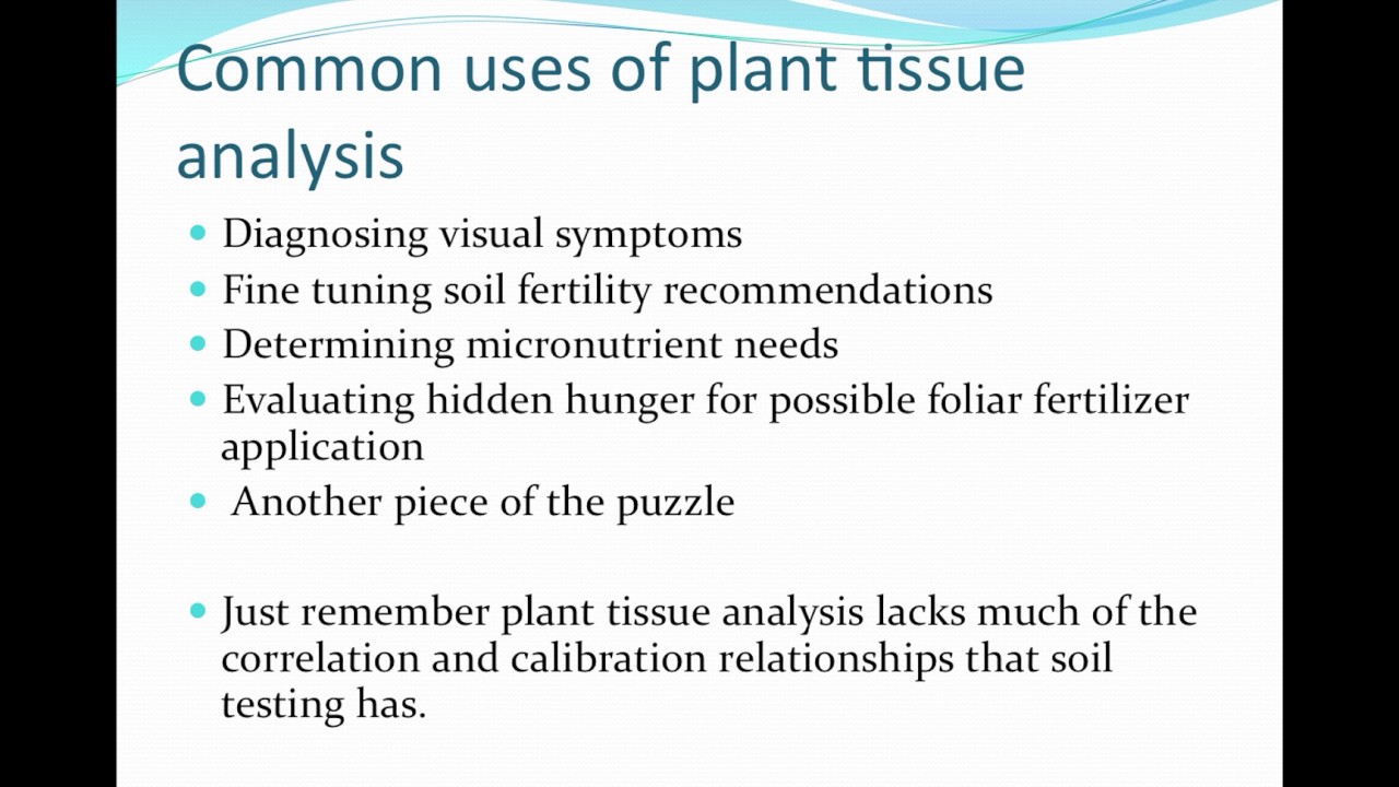 Video   Plant Tissue Analysis