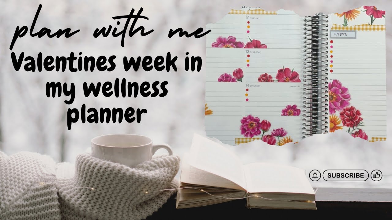 Plan with me in my wellness Erin Condren dashboard