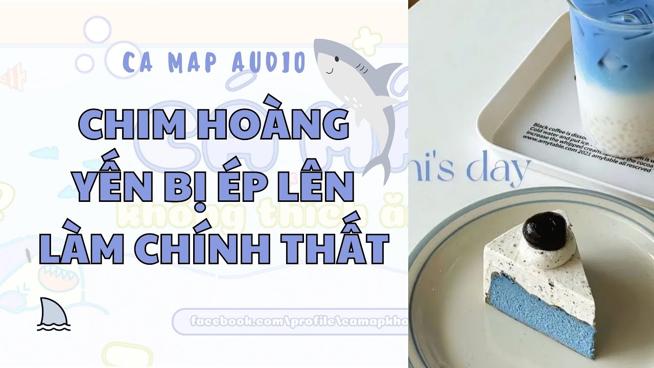 Cá mập audio số 53 | Chim hoàng yến bị ép lên chính thức