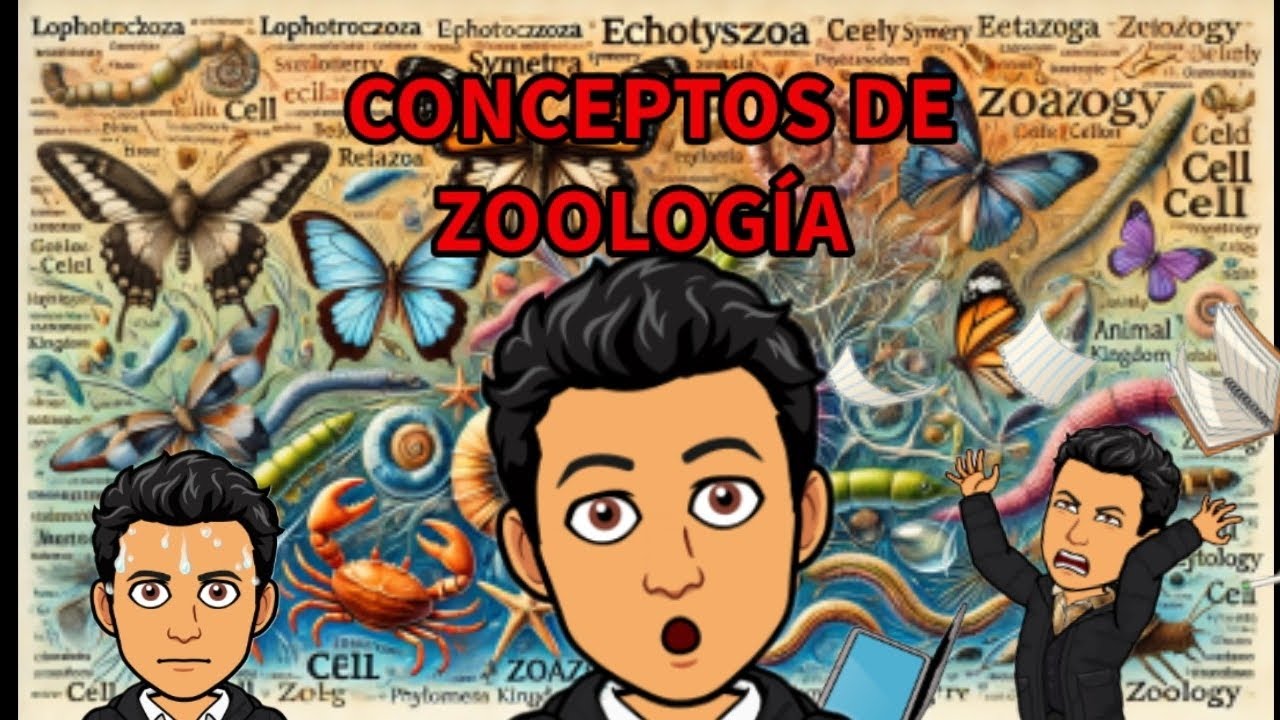 Conceptos clave para entender el árbol filogenético de metazoa. ZooSanti.