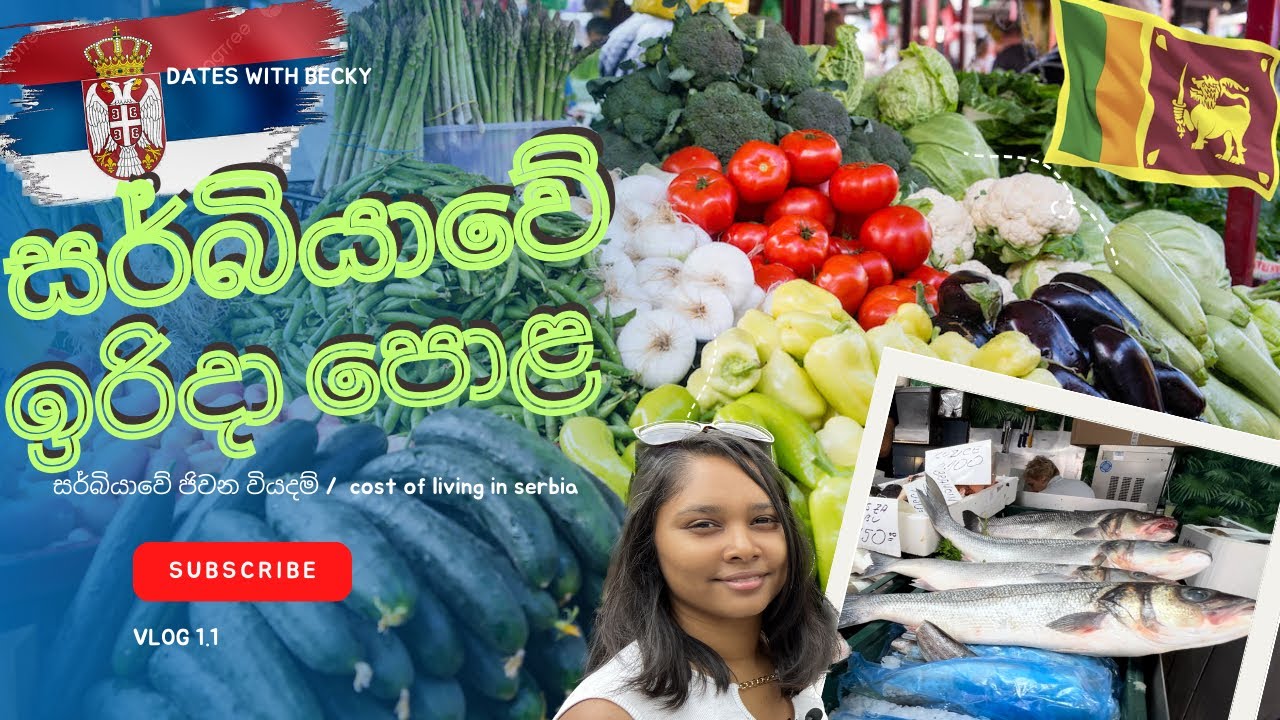 සර්බියාවේ ජීවන වියදම/Living cost in Serbia/Vlog 1.1 🇷🇸🇱🇰 #serbia #srilanka