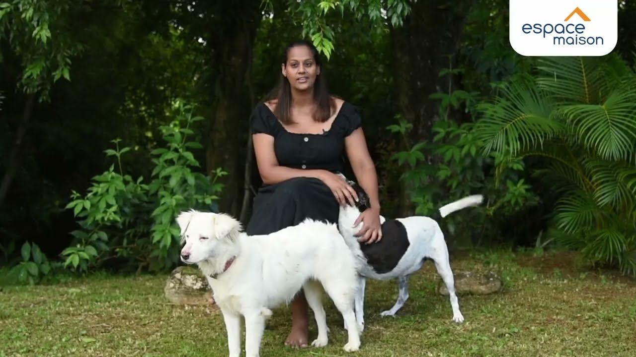 Garden Competition 2025 - Meera Appadoo