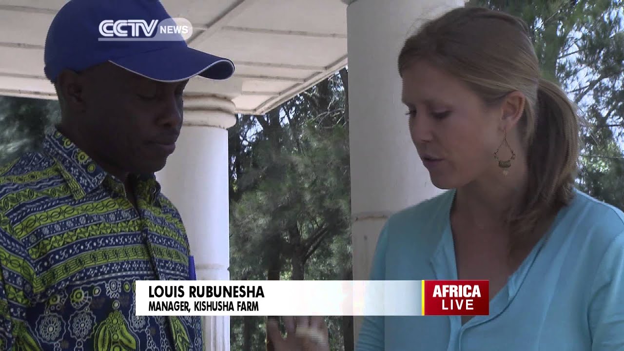 Focus on DRC: Artisan Cheese in The Heart of Africa