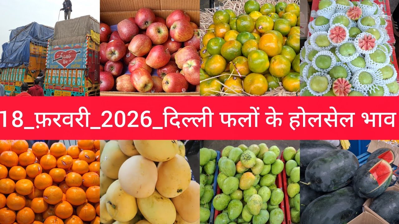 18 February 2026 दिल्ली आम और सभी फलों के भाव delhi fruit market price APMC fruitmarket #fruitmarket