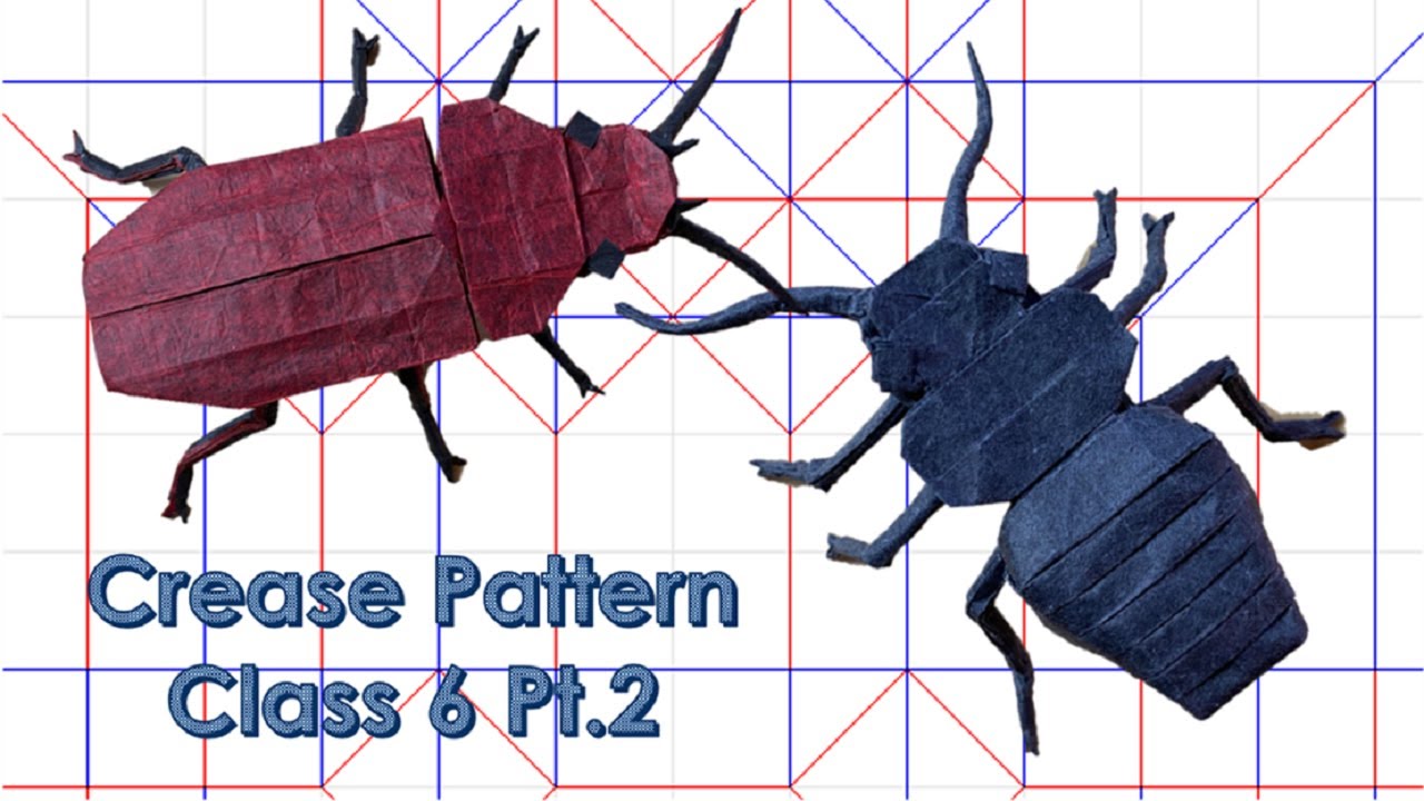 Origami Crease Pattern Class 6 (Part 2)
