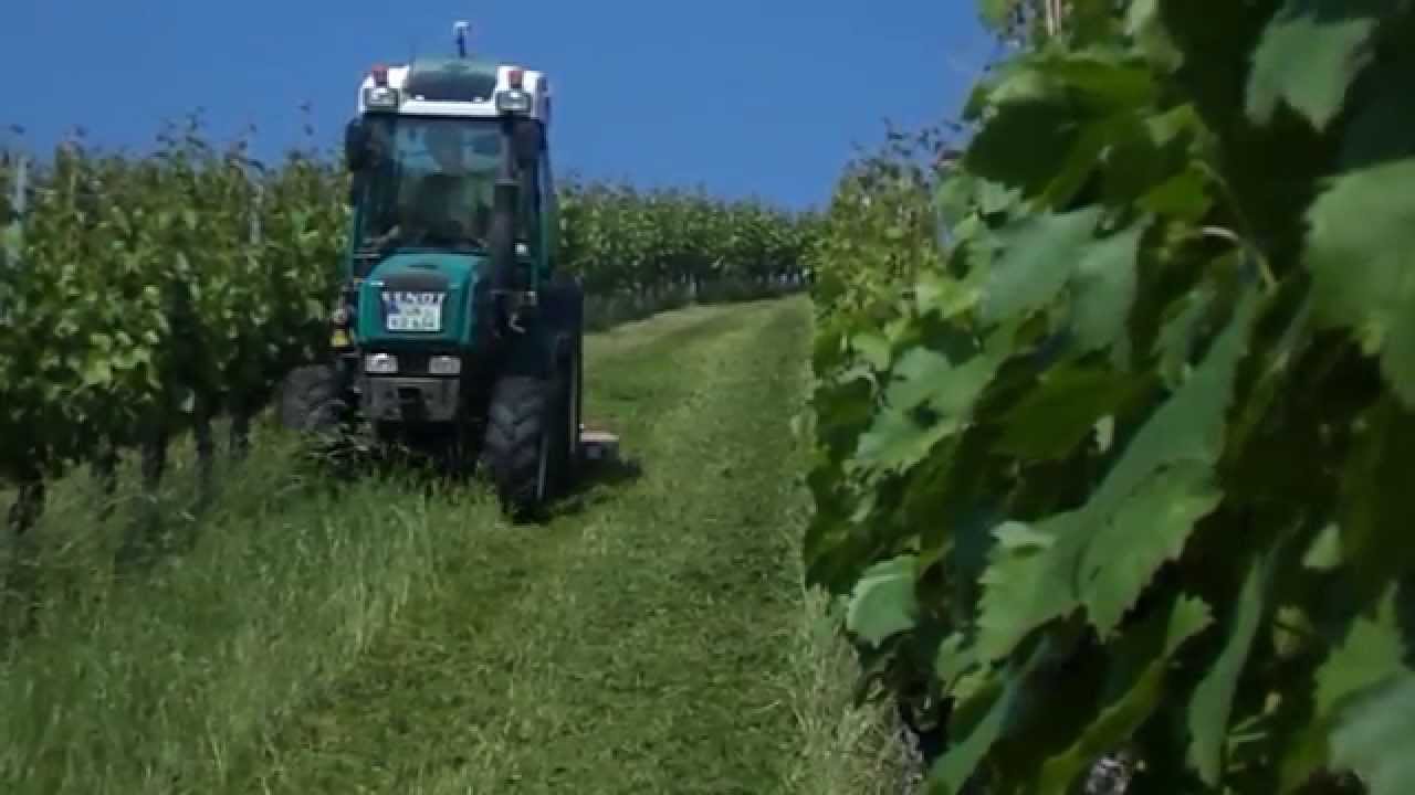 Weinberg mulchen HD! Fendt, Deutz, Röll, Humus