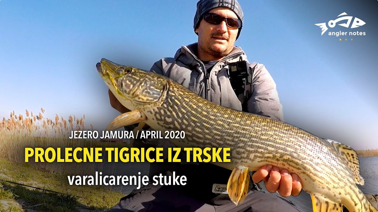 Stuka - Prolecne Tigrice iz Trske na Jezeru Jamura / Spring Pike Fishing at Small Pond
