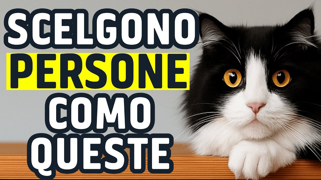 I gatti scelgono persone come queste.