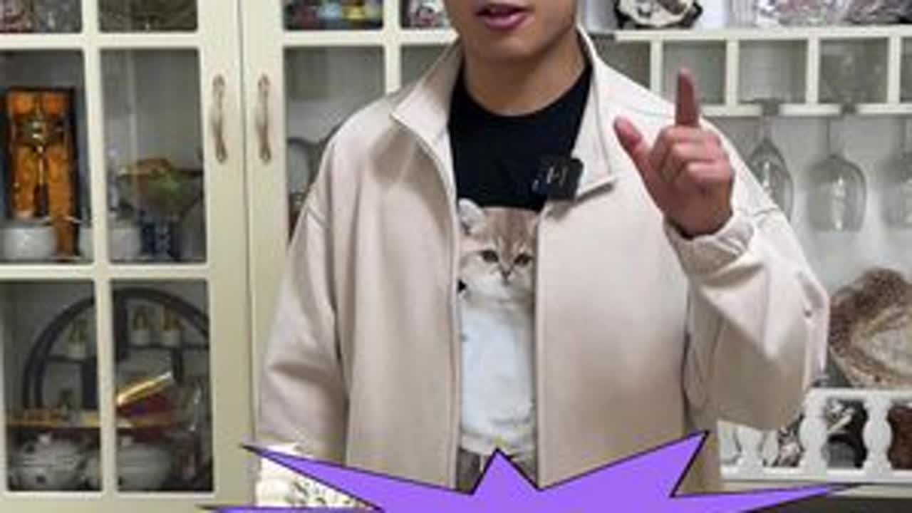 便宜又好养的猫，四只银渐层小可爱#萌宠出道计划 #银渐层 #新手养猫 #猫咪