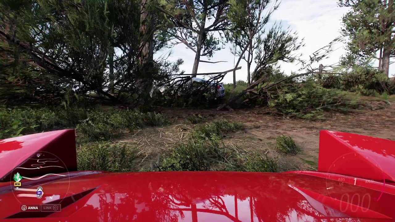 Driving With an NPC in fh5