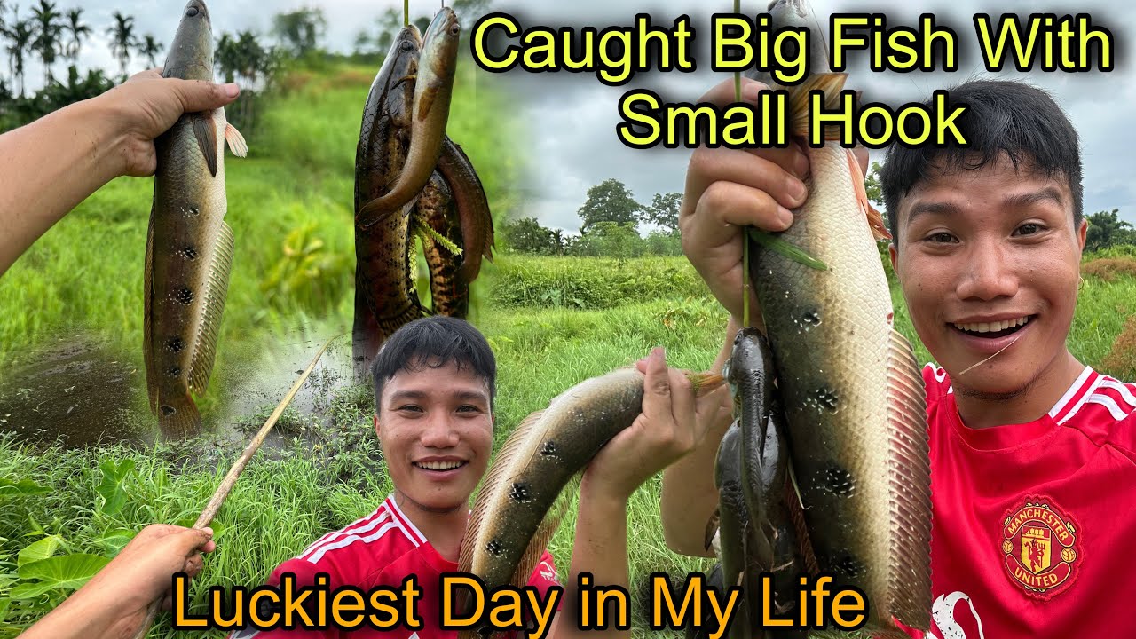 Caught Very Big Fish With Very Little Hook || Luckiest Day of My Life ||Fishing With Hook in Village