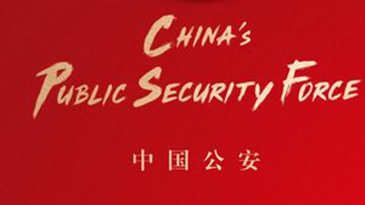 公安部推出《中国公安》国际形象宣传片 #平安2025 #警徽荣耀