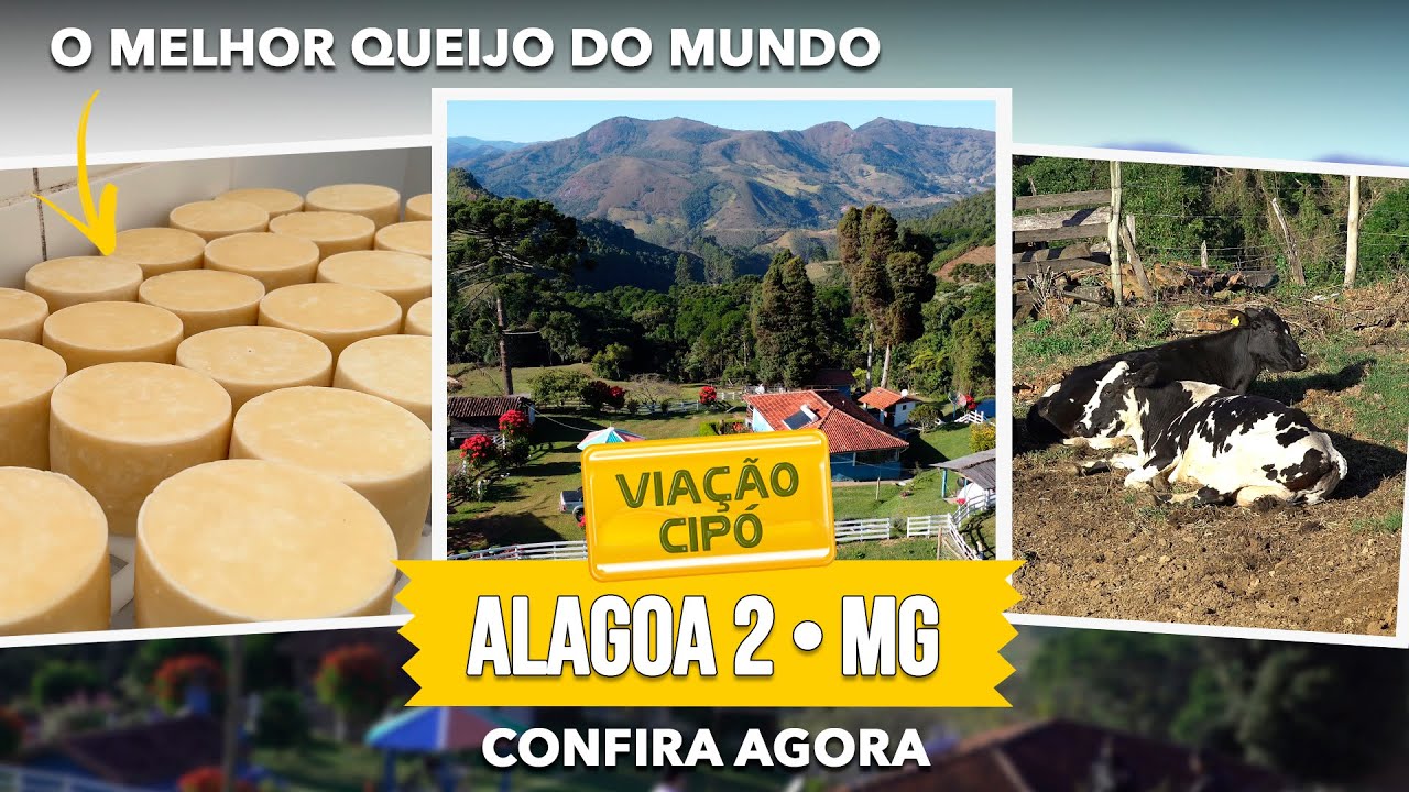 Desvendando MAIS SEGREDOS de ALAGOA!  | A Viação Cipó te conta tudo!