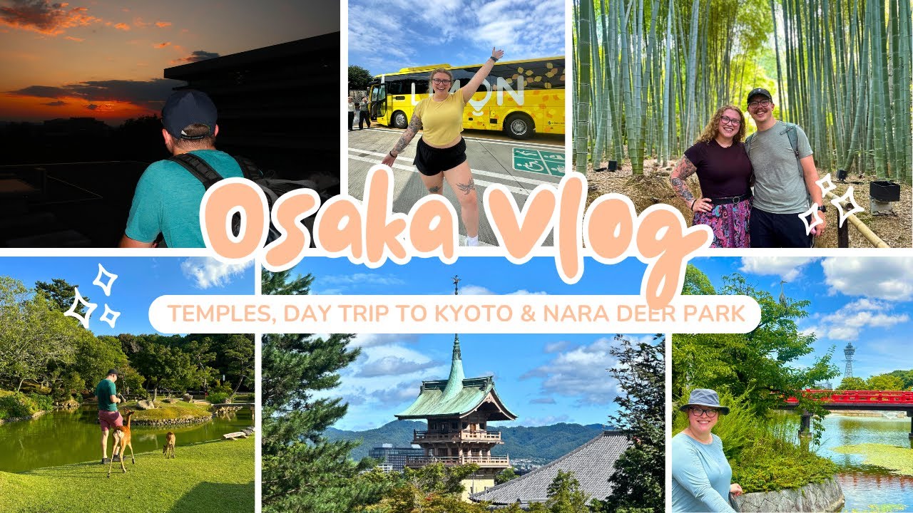 EXPLORING OSAKA! Day Trip to Kyoto, Bamboo Forests, and Feeding Deer in Nara!