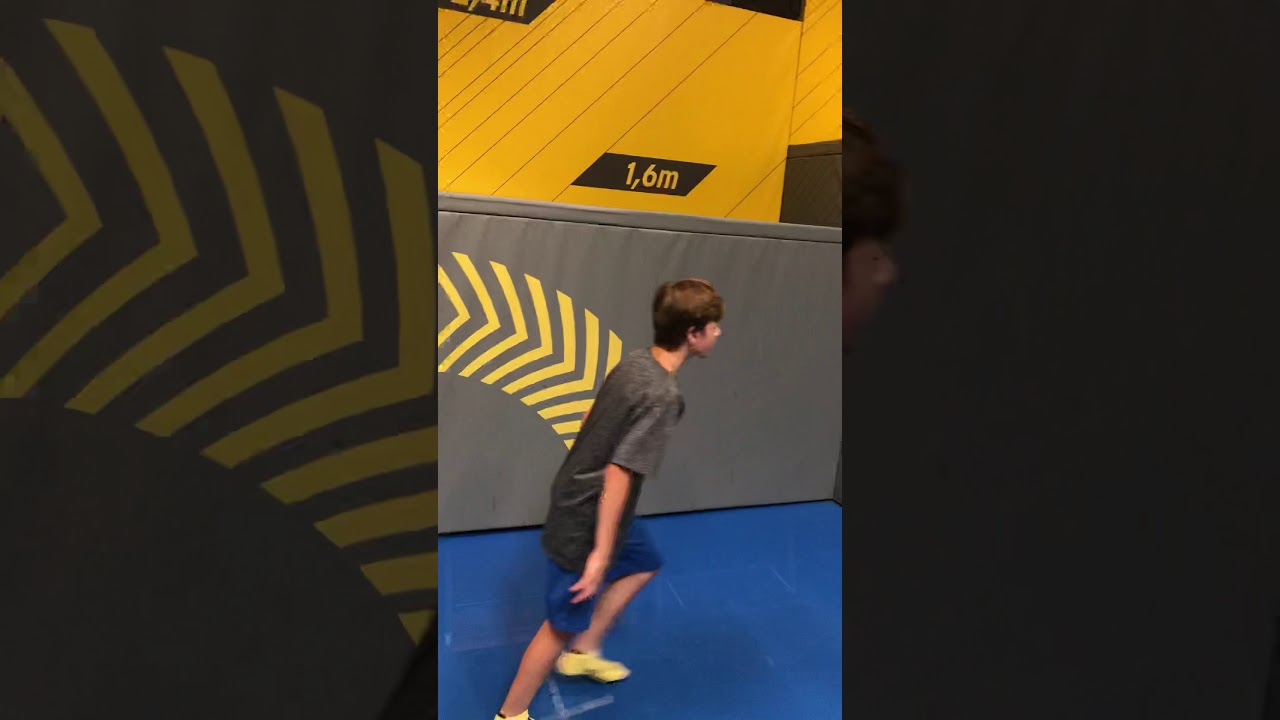 PALM FLIP - HOP ARENA LIBEREC
