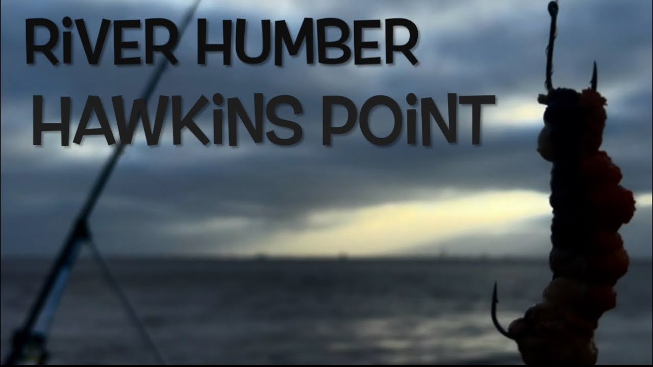 River Humber fishing Hawkin’s point