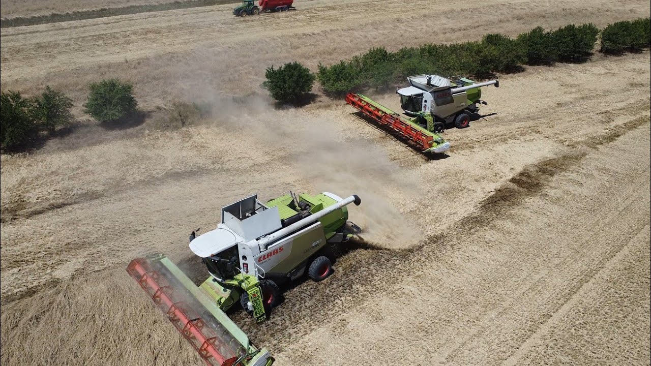 Claas Lexion 770TT, 770, 750, 670 | Harvest/ Žatva/ Aratás | Exata Group 2025