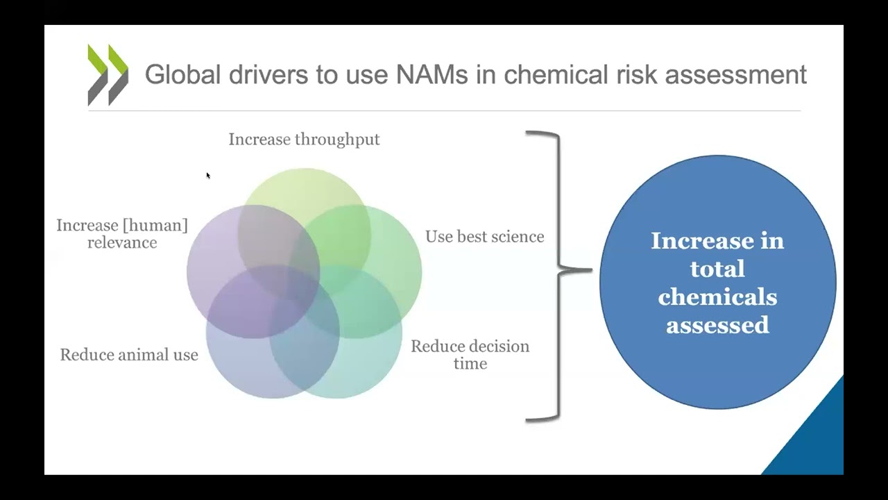 The New OECD QSAR Assessment Framework: Details and Examples (Oct 2023)