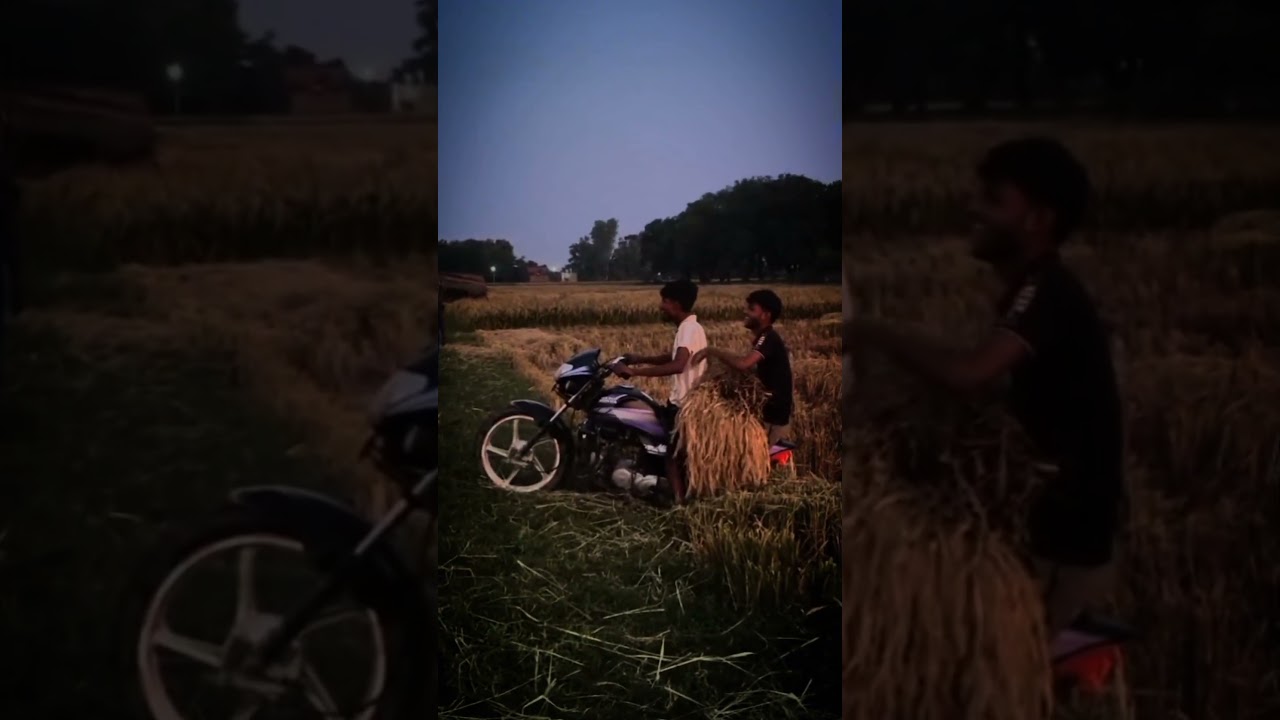 Desi Ghoda 🐎💪 #youtubeshorts #trendingshorts #viral #shorts #viralvideo #desighoda