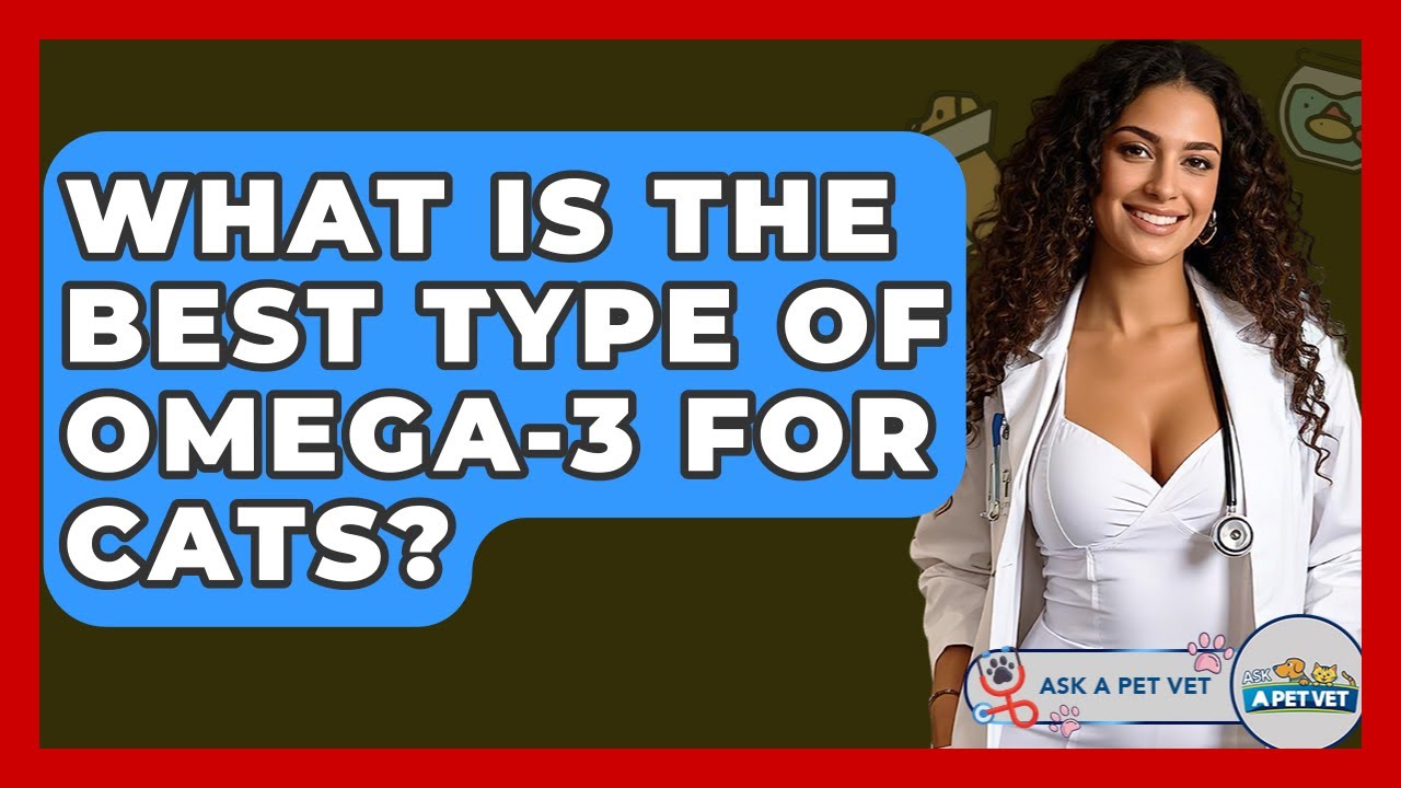 What Is The Best Type Of Omega-3 For Cats? - Ask A Pet Vet