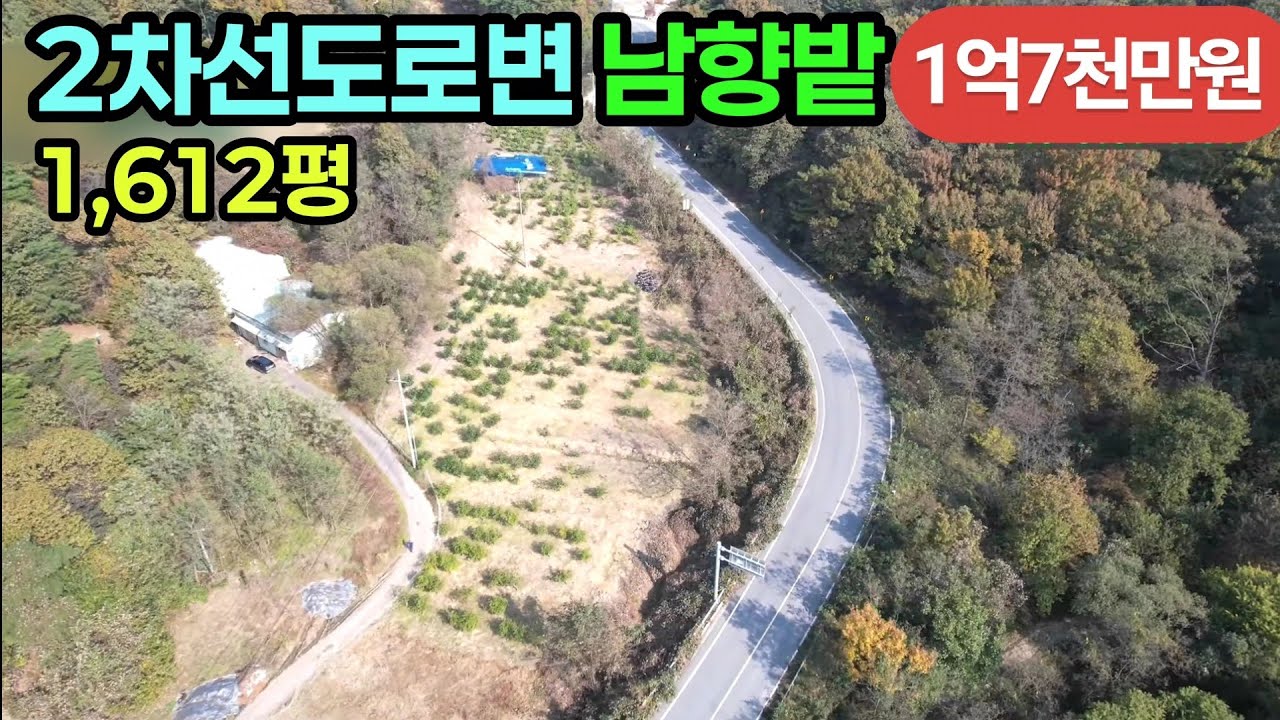 (740번)2차선도로변 전1,612평 1억7천 보전관리지역 현재대추밭 농장,조경수,전시장 추천 #보은부동산 #충북보은토지 #보은대추밭