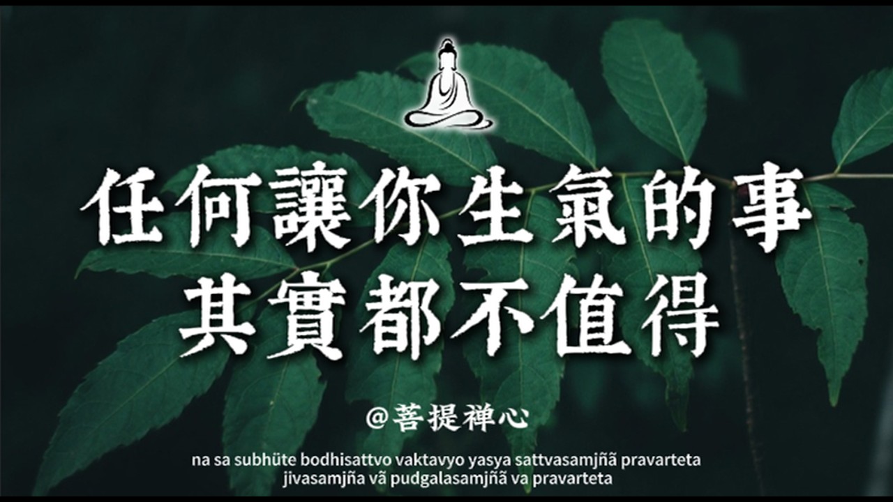別拿別人的錯誤懲罰自己。任何讓你生氣的事，其實都不值得你計較｜菩提禪心#佛学 #人生感悟 #修心修行 #修行 #國學 #治愈