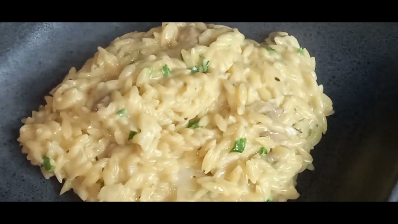 creamy mushroom orzo pasta