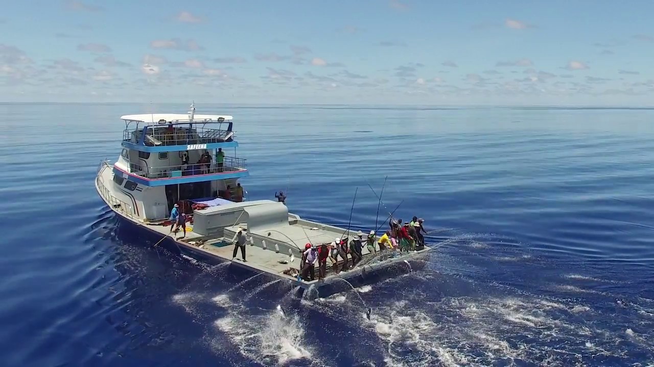 Sustainable Eco-Friendly Fishing in the Maldives (2016)