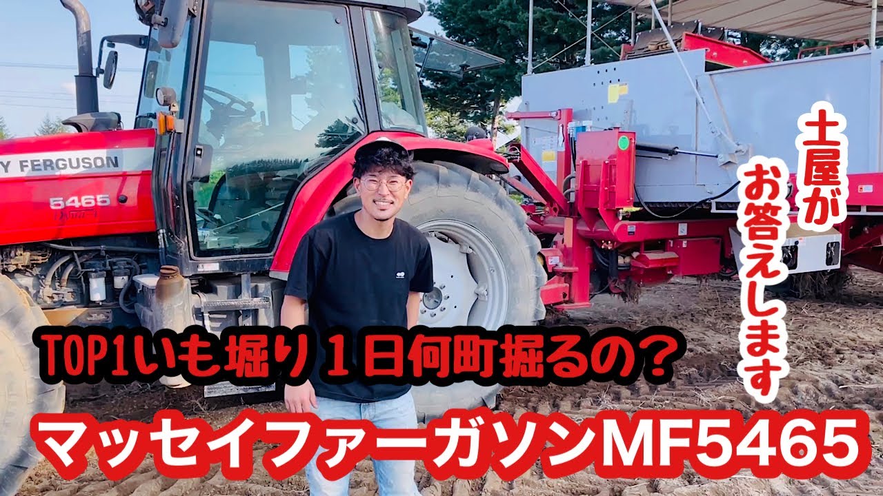【トラクター】マッセイファーガソン MF5465 ポテトハーベスターTOP1 上手くつくるコツ教えます！じゃがいも収穫 【tractor】Massey Ferguson