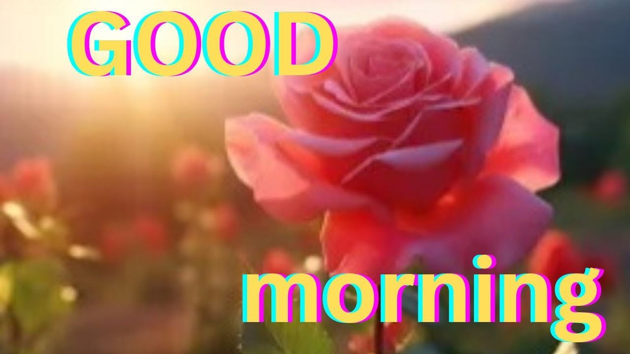 morning silent live stream