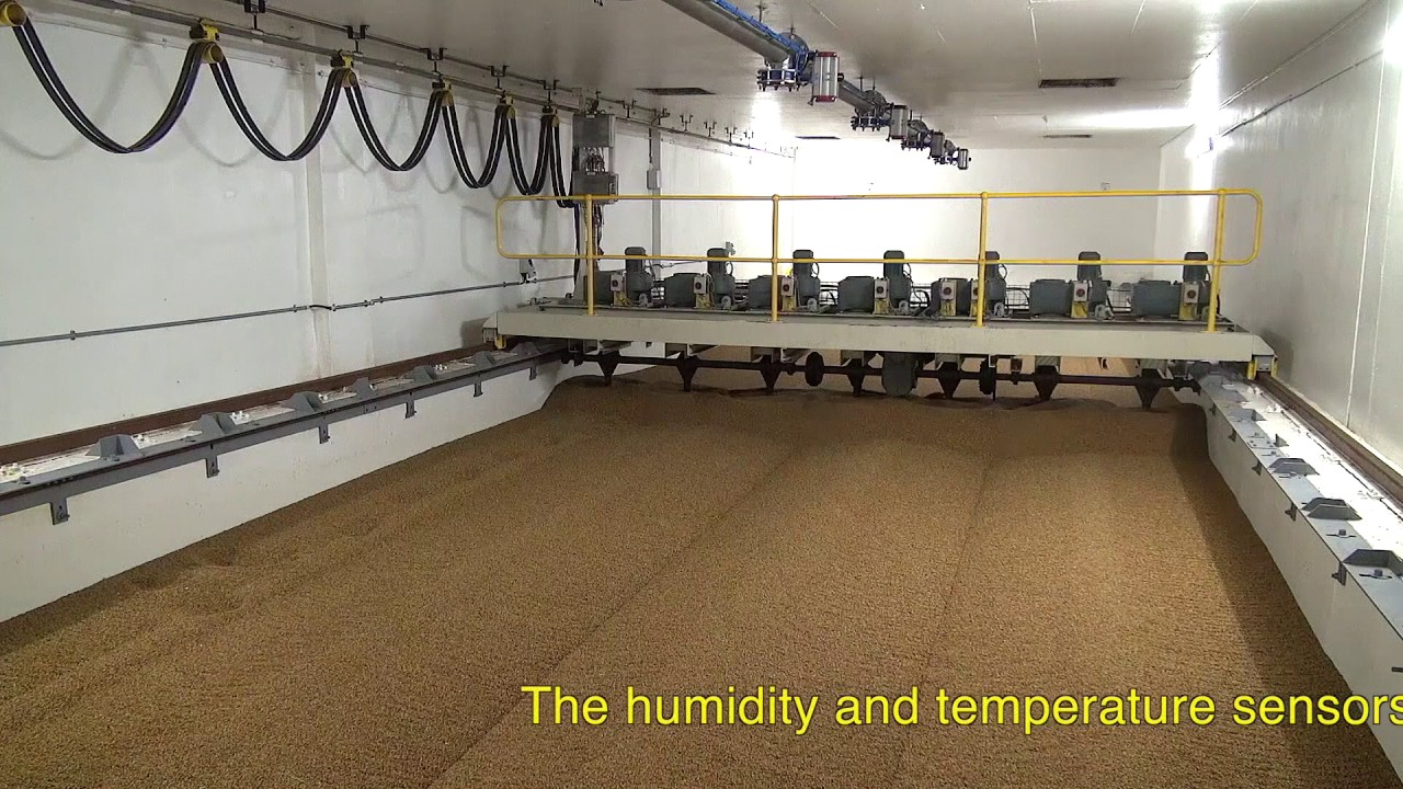 Cereal and Malt automated processing