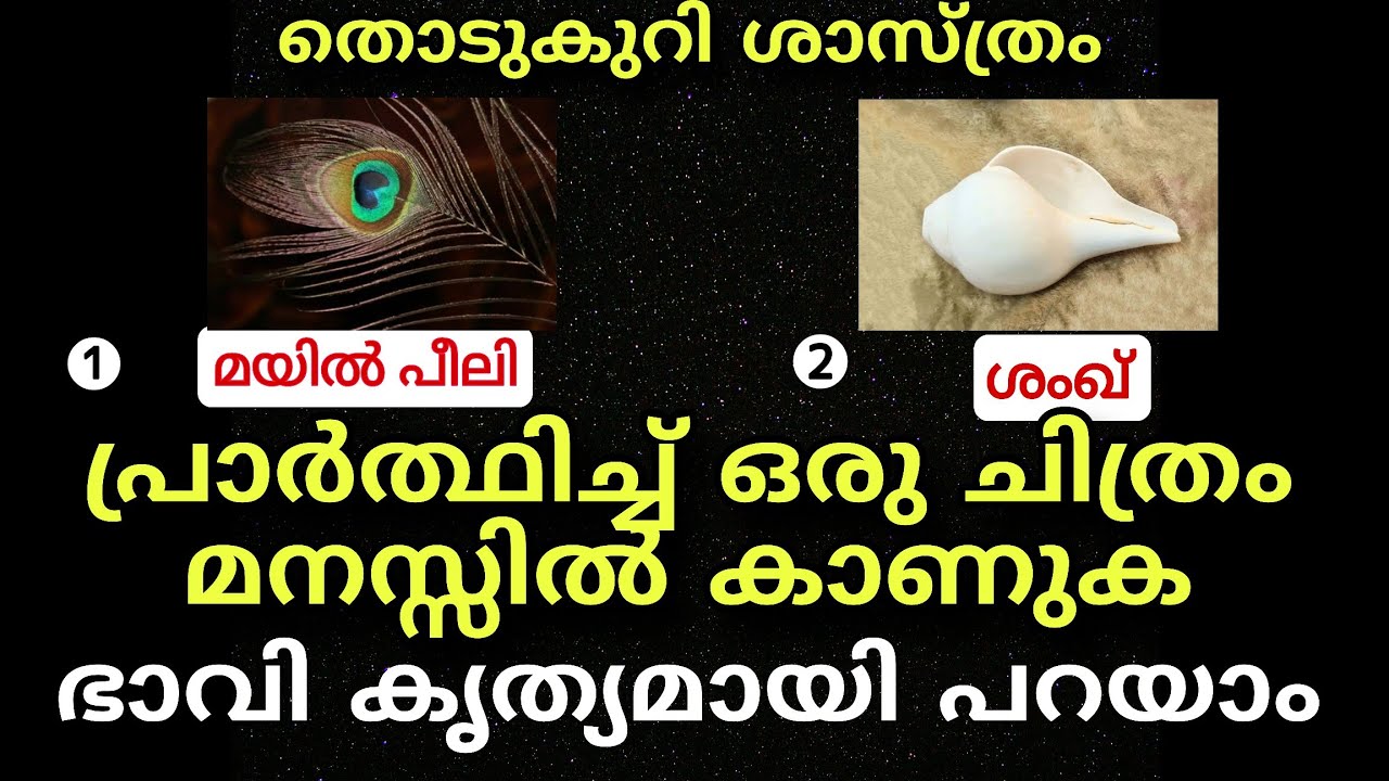  രണ്ട് ചിത്രങ്ങളിൽ ഒന്ന്  തിരഞ്ഞെടുക്കൂ നിങ്ങളുടെ ഭാവി അതിൽ ഒളിച്ചിരിക്കുന്നു  Thodukuri sastram 
