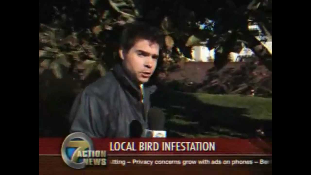 Funny Reporter - 3minlol