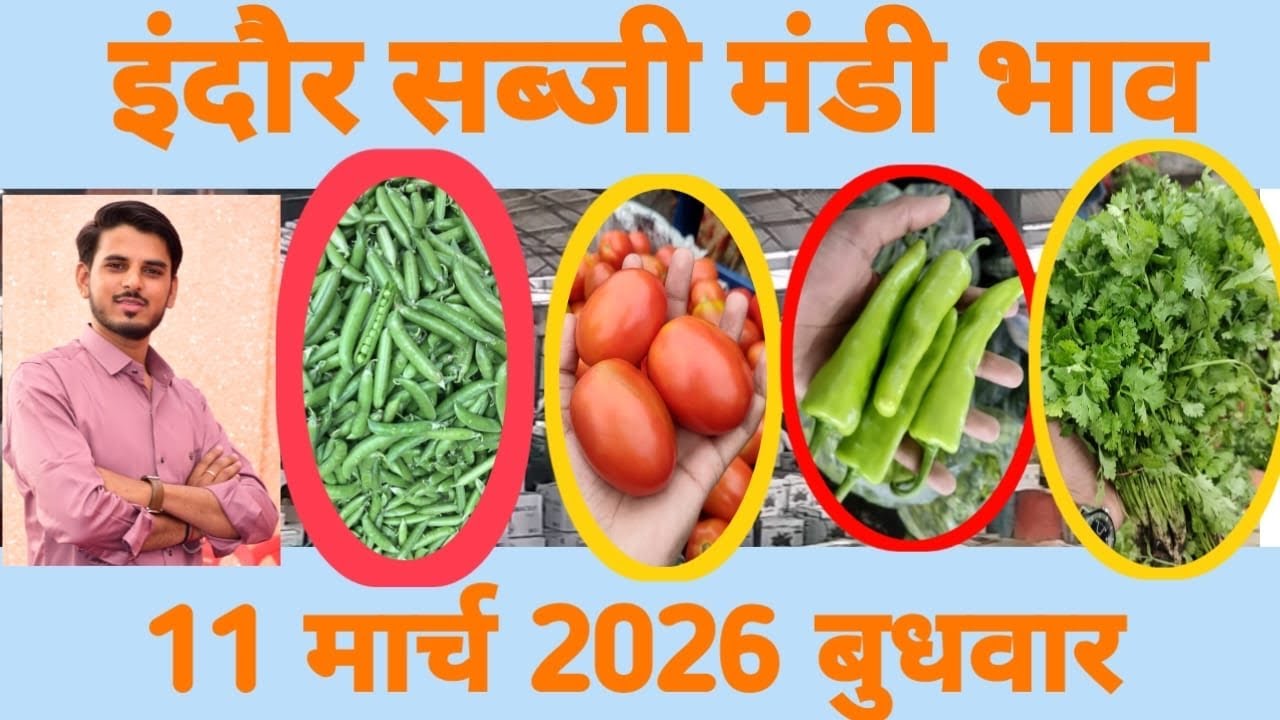 🍅🌶सब्जी का ताज़ा भाव इंदौर मंडी // live mandi update vegetable market indore mp #sabjimandi 