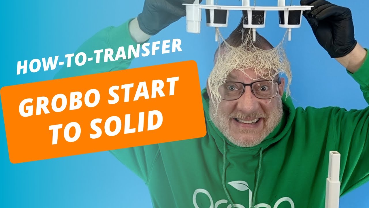 How to Transfer from Grobo Start to Solid #hawkdown