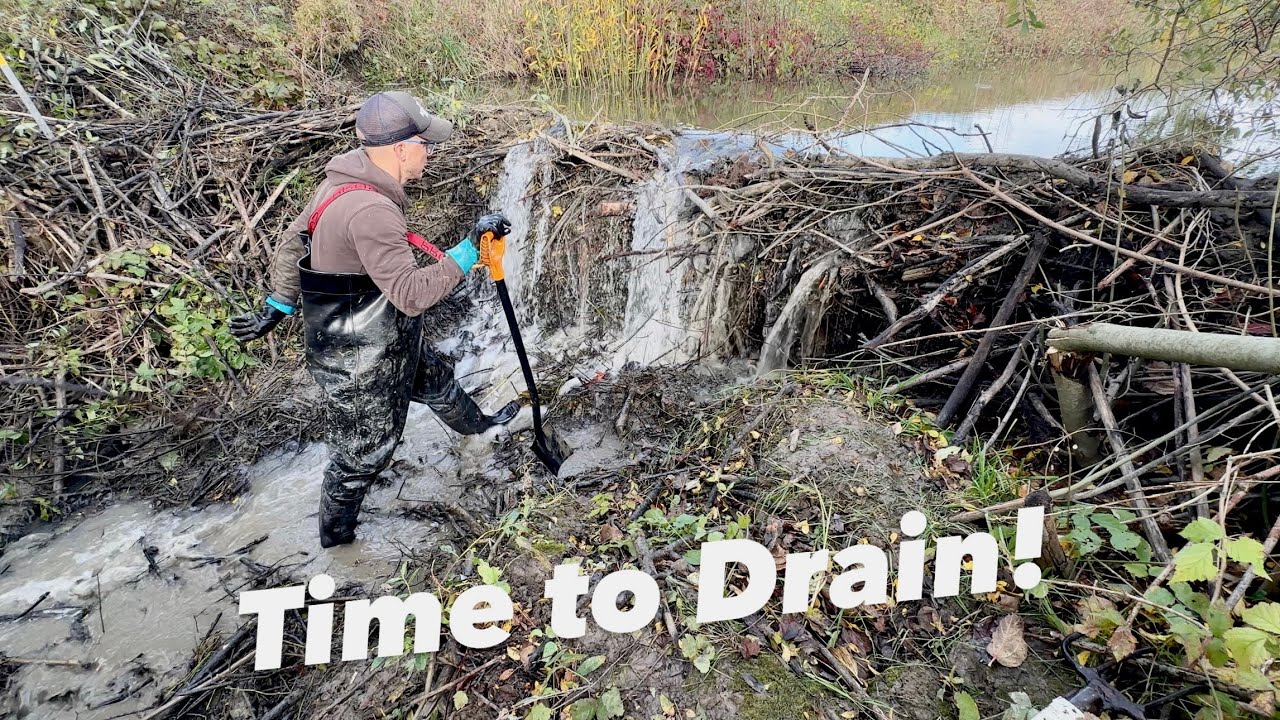 That Dam Was No Joke!