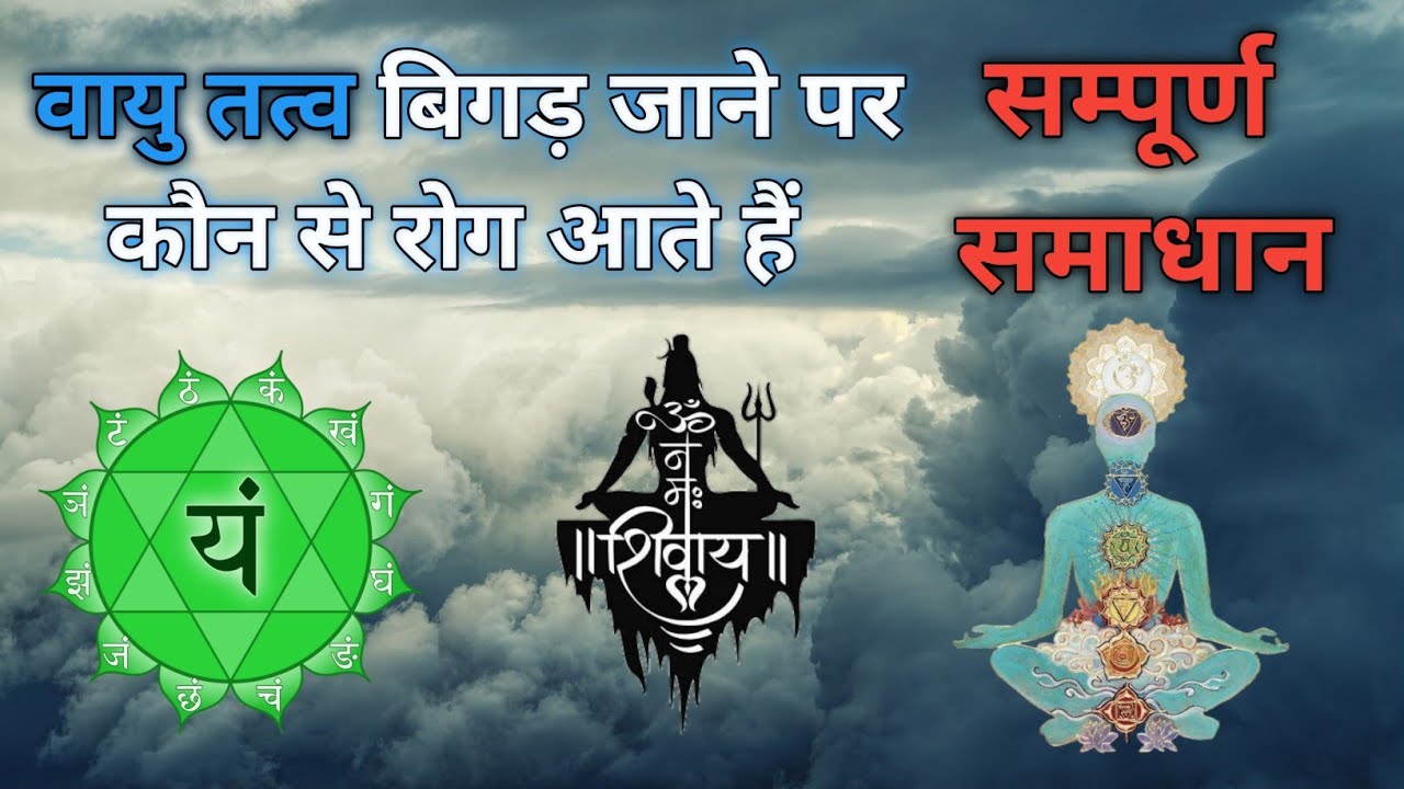 शरीर में वायु तत्व बिगड़ जाने पर कौन से रोग आ जाते है उनका समाधान, स्वामी VKD, योगनी स्वामी