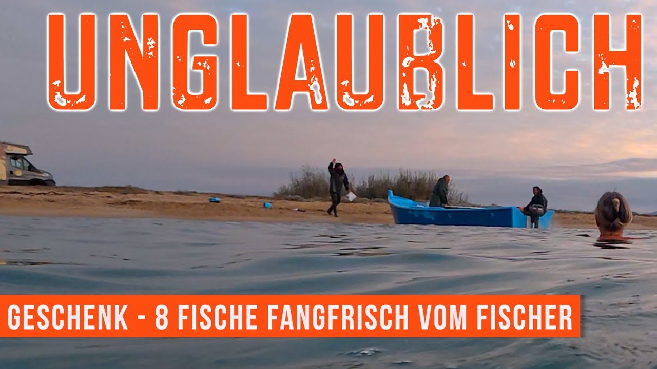 8 Fische liegen für uns am Strand - Die Menschen in Griechenland sind wunderbar ☺️ Potamos Bimobil
