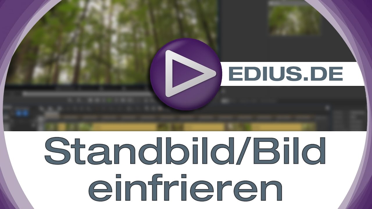 EDIUS Podcast - Standbild/Bild einfrieren