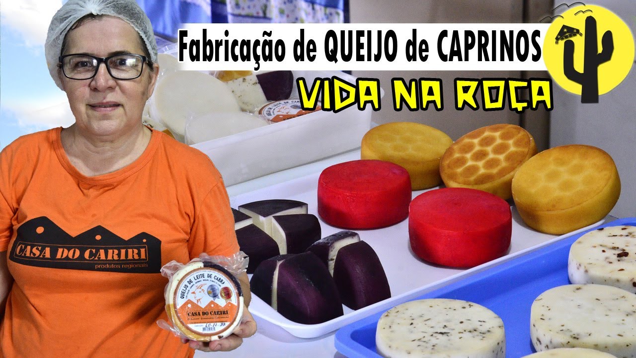 [VIDA NA ROÇA] Fazenda Pendência de Juazeirinho/PB | Processo de FABRICAÇÃO dos QUEIJOS de CAPRINOS🌵