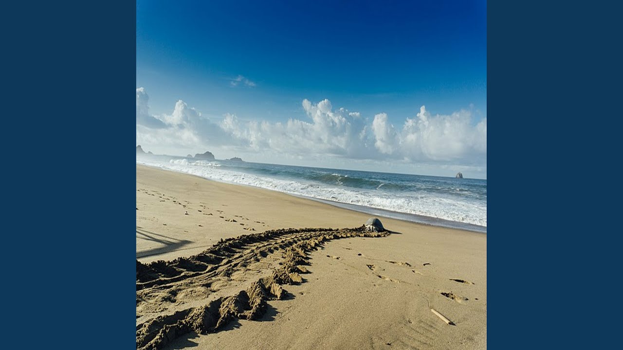 Samudra