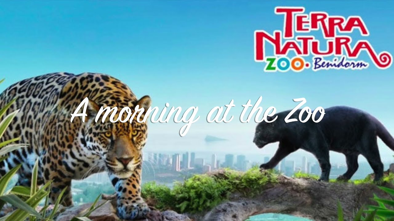 Morning at Terra Natura Benidorm 2021