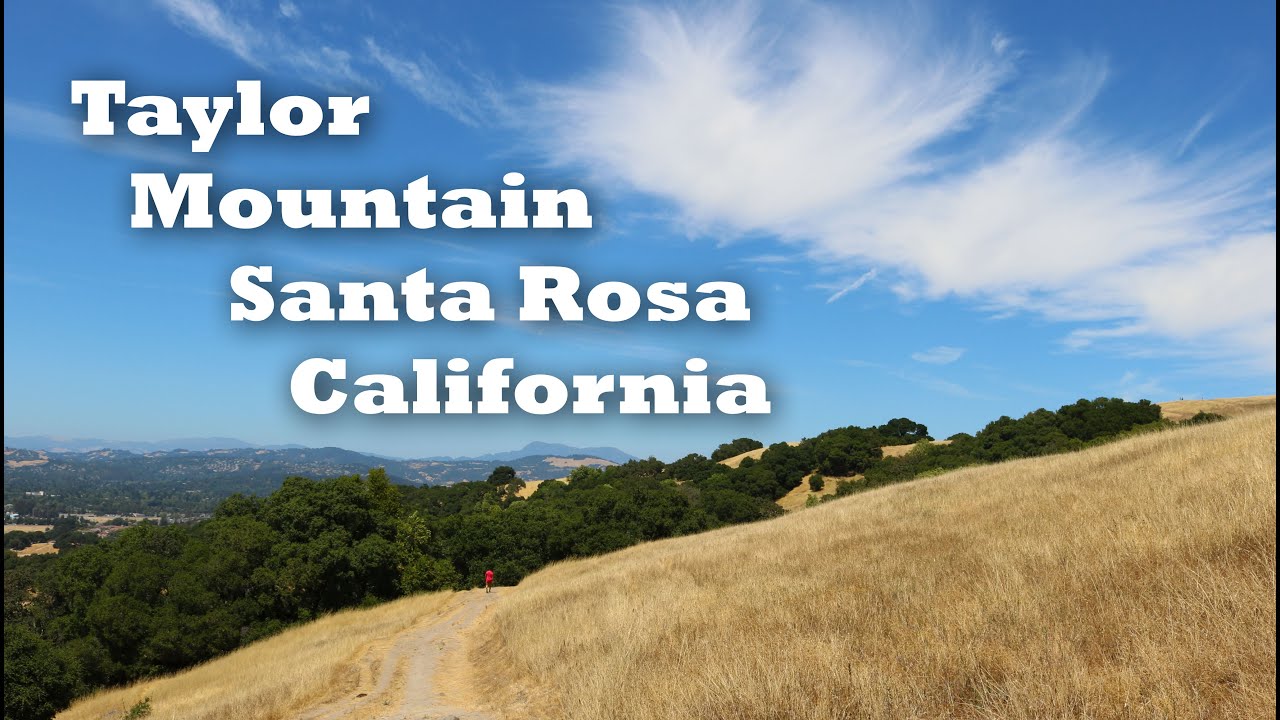 Hiking Taylor Mountain Regional Park in Santa Rosa California