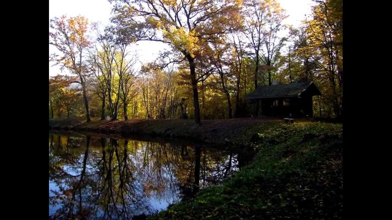 Městys Račice u Vy&scaron;kova - PROMO