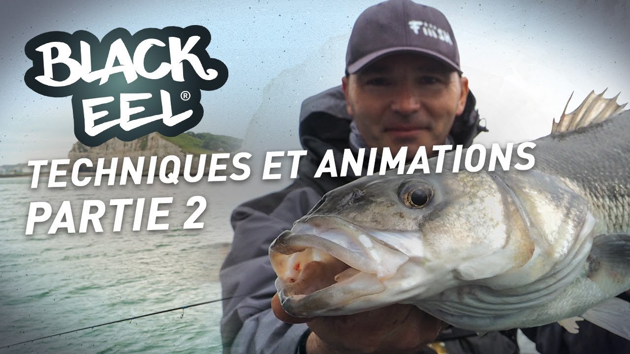 Fiiish - BLACK EEL - How to use - Part 2